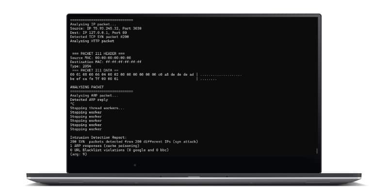 Image of Packet Monitoring IDS